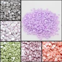 Glass Seed Beads Tila Beads 5*5*1.9mm  