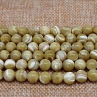 Trochus Beads, Round, polished, DIY yellow 