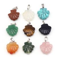 Gemstone Jewelry Pendant, Shell, polished & carved 22mm 