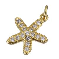 Cubic Zirconia Micro Pave Brass Pendant, Starfish, gold color plated, micro pave cubic zirconia Approx 2.5mm 