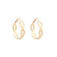 Zinc Alloy Hoop Earring, for woman & hollow 