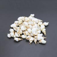 Trompette Shell pendentif en laiton, coquille de trompette, conque, naturel, DIY, blanc, 25*10*9-16*5*4mm Environ 1mm, Vendu par PC