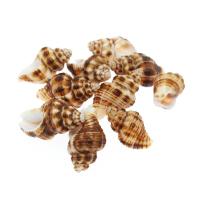 Trompette Shell pendentif en laiton, coquille, conque, naturel, DIY, brun, 29*14-21*11mm Vendu par sac