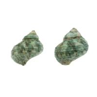 Trompette Shell pendentif en laiton, coquille, conque, Placage, DIY, vert, 28*20mm Vendu par sac