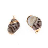 Trompette Shell pendentif en laiton, coquille, conque, Placage, DIY, brun, 21*14*12mm Environ 2mm, Vendu par PC