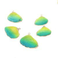 Coque de mer naturelle Pendentif, coquille, coquille, Placage, DIY, plus de couleurs à choisir, 31*22*9-28*18*8mm Environ 2mm, Vendu par PC