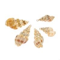 Trompette Shell pendentif en laiton, coquille, conque, Placage, DIY, beige, 37*17mm Environ 2mm, Vendu par PC