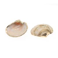 Coque de mer naturelle Pendentif, coquille, coquille, Placage, DIY, beige, 50*39*7-33*26*10mm Environ 2mm, Vendu par PC