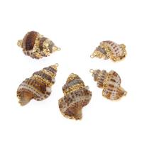 Trompette Shell pendentif en laiton, coquille, conque, Placage, DIY, brun, 39*24*15mm Environ 2mm, Vendu par PC