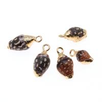 Trompette Shell pendentif en laiton, coquille, conque, Placage, DIY, noire, 18*10*9-15*6*6mm Environ 2mm, Vendu par PC