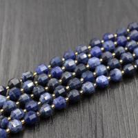 Perles en sodalite, poli, DIY & normes différentes pour le choix & facettes, bleu, Vendu par brin