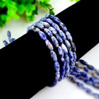 Single Gemstone Beads, Blue Speckle Stone, Drum, polished, DIY 