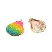 Coque de mer naturelle Pendentif, coquille de trompette, coquille, Placage, DIY, multicolore, 38*36*5mm, Vendu par PC