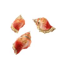 Trompette Shell pendentif en laiton, coquille de trompette, conque, Placage, DIY, plus de couleurs à choisir, 61*41*26mm, Vendu par PC