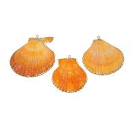 Coque de mer naturelle Pendentif, coquille de trompette, coquille, Placage, DIY, jaune d'or, 42*48*13mm, Vendu par PC