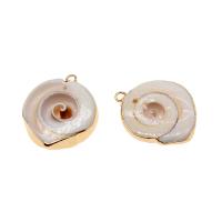 Trompette Shell pendentif en laiton, coquille de trompette, coquille, Placage, DIY, beige, 31*24*6mm, Vendu par PC