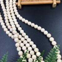 Howlite Beads, Round, polished, DIY white 