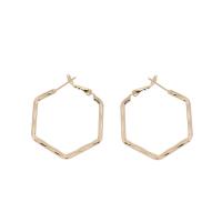 Zinc Alloy Hoop Earring, fashion jewelry 