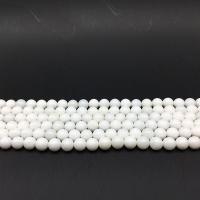 Natural White Shell Beads, Round, polished, DIY white 