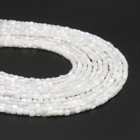 Perles en coquillage blanc naturel, coquille, pilier, différentes couleurs et motifs pour le choix & DIY, plus de couleurs à choisir, 3.5*3.5mm, Vendu par brin