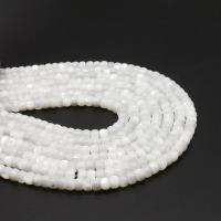 Perles en coquillage blanc naturel, coquille, Rond, différentes couleurs et motifs pour le choix & DIY, plus de couleurs à choisir, 4*6mm, Vendu par brin