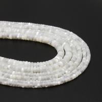 Natural White Shell Beads, Flat Round, DIY white 