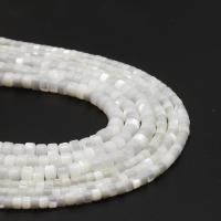 Natural White Shell Beads, Flat Round, DIY white 