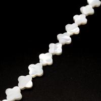 Natural White Shell Beads, Four Leaf Clover, DIY white 