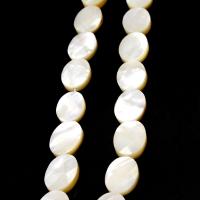 Perles en coquillage blanc naturel, coquille, ellipse, DIY, blanc, 10*15mm, Vendu par brin