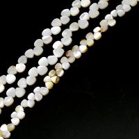 Perles en coquillage blanc naturel, coquille, larme, DIY & normes différentes pour le choix, blanc, Vendu par brin