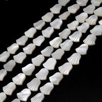 Perles en coquillage blanc naturel, coquille, éventail, DIY, blanc, 12*12*2mm, Vendu par brin