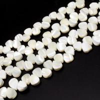 Perles en coquillage blanc naturel, coquille, larme, DIY & normes différentes pour le choix, blanc, Vendu par brin