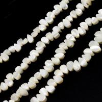 Perles en coquillage blanc naturel, coquille, larme, DIY & normes différentes pour le choix, blanc, Vendu par PC