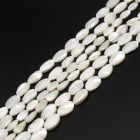 Perles en coquillage blanc naturel, coquille, ellipse, DIY, blanc, 13*18*5mm, Vendu par brin