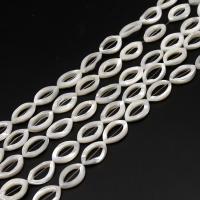 Natural White Shell Beads, Ellipse, DIY, white, 13*18*2mm 