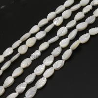 Perles en coquillage blanc naturel, coquille, feuille, DIY, blanc, 8*12*3mm, Vendu par brin