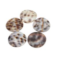 Muschel Schmuck Cabochon, rund, DIY, gemischte Farben, 23mm, 10PCs/Tasche, verkauft von Tasche