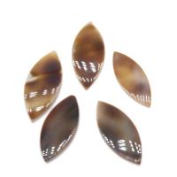 Muschel Schmuck Cabochon, Blatt, DIY, gemischte Farben, 11*4mm, Bohrung:ca. 1mm, 100PCs/Tasche, verkauft von Tasche