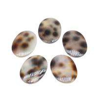 Muschel Schmuck Cabochon, Ellipse, DIY, gemischte Farben, 13*18mm, Bohrung:ca. 1mm, 10PCs/Tasche, verkauft von Tasche