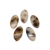 Muschel Schmuck Cabochon, Ellipse, DIY, gemischte Farben, 15*7mm, 10PCs/Tasche, verkauft von Tasche