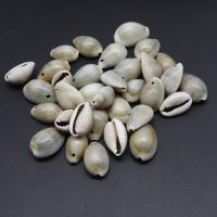 ナチュラルシーシェルペンダント, トランペット形貝, 巻貝, DIY, グレイ, 21*18*10mm, 穴:約 1mm, 約 700パソコン/バッグ, 売り手 バッグ