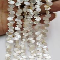 Perles en coquillage blanc naturel, coquille blanche, riz, poli, DIY, blanc Environ Vendu par brin