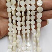 Perles en coquillage blanc naturel, coquille blanche, Plat rond, poli, DIY, blanc, Vendu par brin