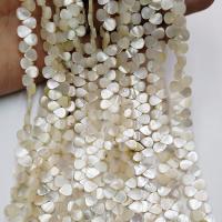 Perles en coquillage blanc naturel, coquille blanche, larme, poli, DIY & normes différentes pour le choix, plus de couleurs à choisir, Vendu par brin