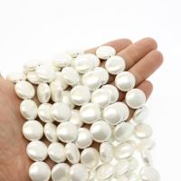 Perles en coquillage blanc naturel, Shell Pearl, Plat rond, DIY, blanc, 15mm, Vendu par brin