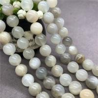 Natural Moonstone Beads, Round, polished Approx 15 Inch 