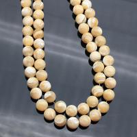 Trochus Beads, Round, polished, DIY 