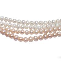 Round Cultured Freshwater Pearl Beads, polished, DIY 7-8mm 