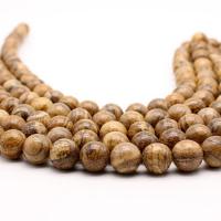 Picture Jasper Beads, Round, polished, DIY 