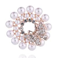 Zinc Alloy Jewelry Brooch, fashion jewelry & for woman & with rhinestone 